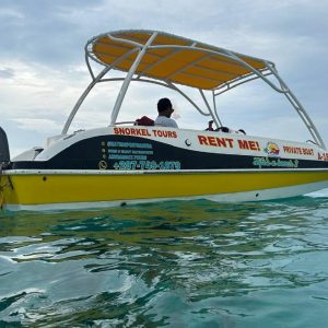 Private Afternoon Snorkeling Charter - South side Aruba