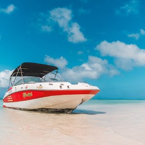 Private Morning Snorkeling Charter - South side Aruba