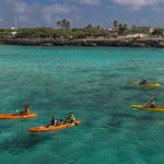 Morning Kayak & Snorkeling mangrown view