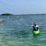 sea glass island & clear kayak-morning kayak ride