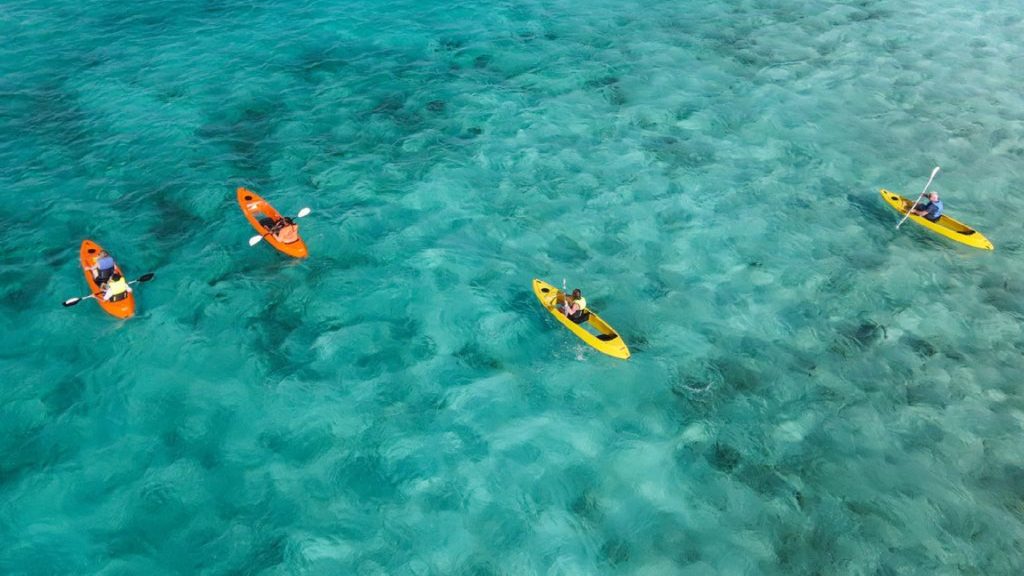 sea glass island & clear kayak-morning ride