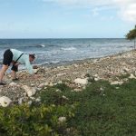 sea glass island & clear kayak-sunset tour