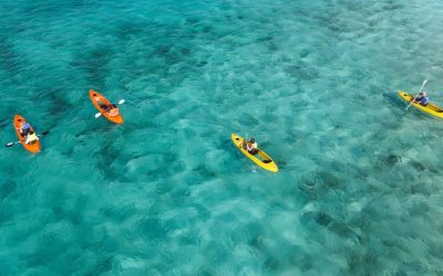 sea glass island & clear kayak-morning ride